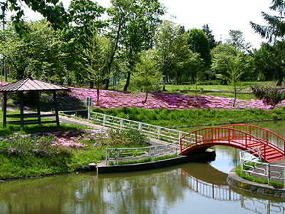 金比羅公園の写真